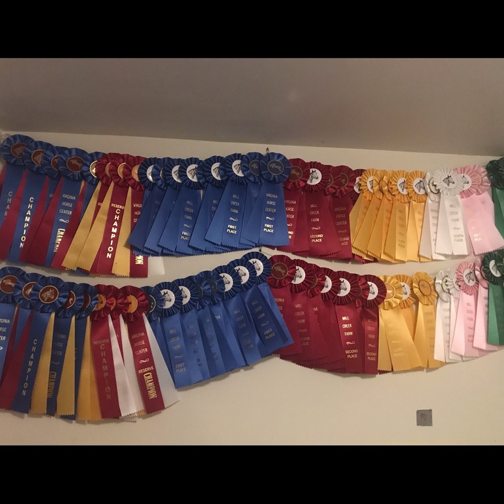 Meet your Posher, Ashby